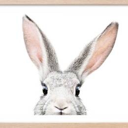 Affiche enfant lapin  avec cadre bois 60x40 cm