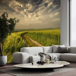 Papier peint les champs verts 364x270 cm