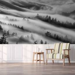 Papier peint brume du matin 364x270 cm