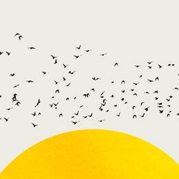 Tableau dessin mille oiseaux imprimé sur toile 60x90 cm