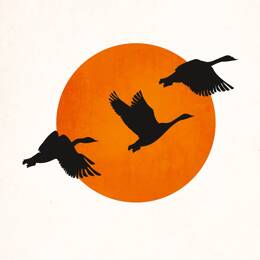 Tableau retour des grues imprimé sur toile 60x90 cm