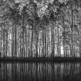 Tableau nature pointillisme toile imprimée 120x80 cm