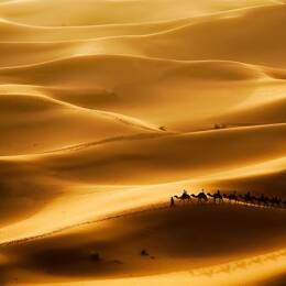Tableau paysage le desert des nomades  imprimé sur toile 90x60 cm