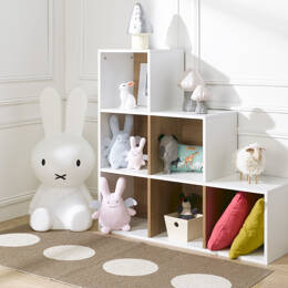 Bibliothèque 6 cases escalier  ANGEL