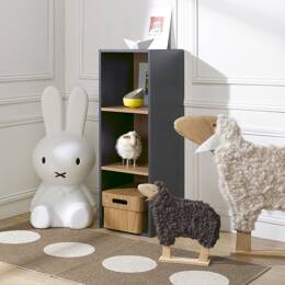 Bibliothèque 3 cases ANGEL