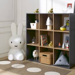 Bibliothèque 9 cases ANGEL