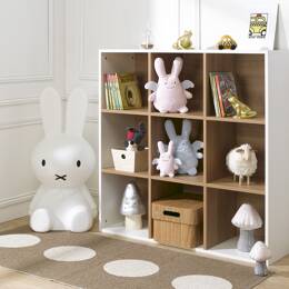 Bibliothèque 9 cases ANGEL