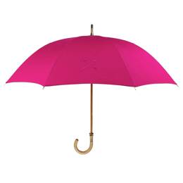 Le Demoiselle Fuchsia