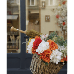 Poster L'Ombrelle Miel Doré