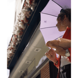 Poster L'Ombrelle Lilas