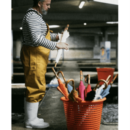 Poster Les Parapluies du pêcheur