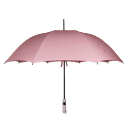 Le Parapluie de Cherbourg X New Cherbourg Society Rose
