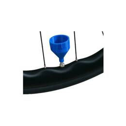 CSCI3D