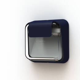 Carex 1 - Bleu acier