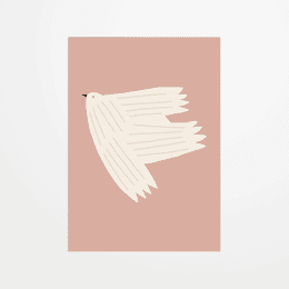 Carte postale - Jennifer Bouron - Dove