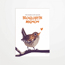 Carte postale - Tinibuni - Trop mignon