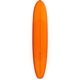Dead Kooks - VIVI - 9'5x22 7/8x3