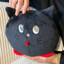 Loulou Chat Noir