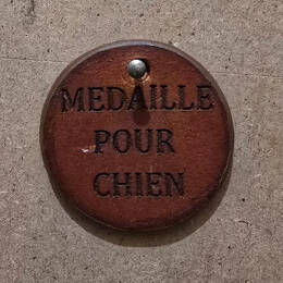 Medaillons en cuir pour chien