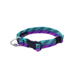 Collier chien