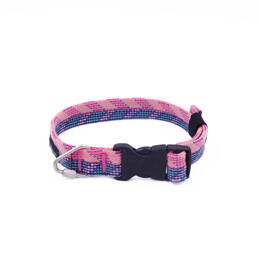 Collier chien