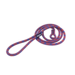 Laisse pour chien