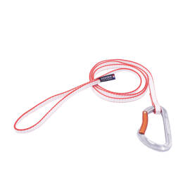 Laisse Dyneema pour chien