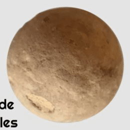 Billes Liège Billards