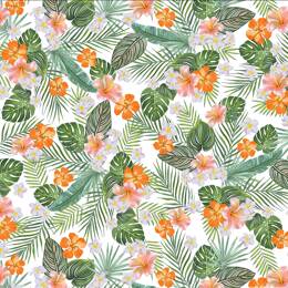 TISSU POPELINE FETIA