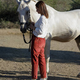 Pantalon Albin Brique