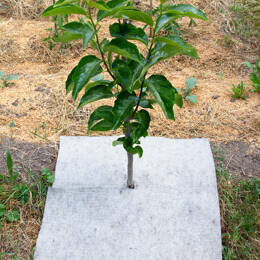 Dalles de paillage 700g/m²