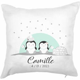Coussin naissance personnalisé – Collection Banquise 🐧❄️