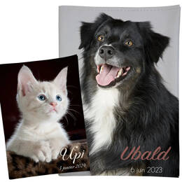 Carnet de santé ou passeport avec photo chien ou chat
