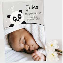 Protège carnet de santé personnalisé avec photo – Thème panda