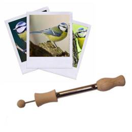 Appeau Mésange Bleue