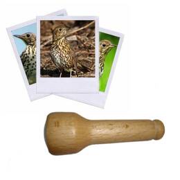 Appeau Grive Musicienne