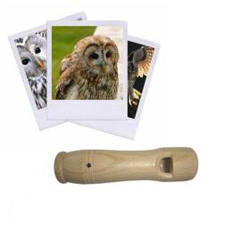 Appeau Chouette Hulotte