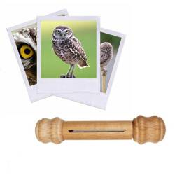 Appeau Chouette Chevêche