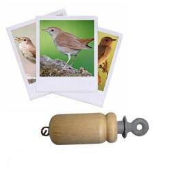 Appeau Rossignol Philomèle