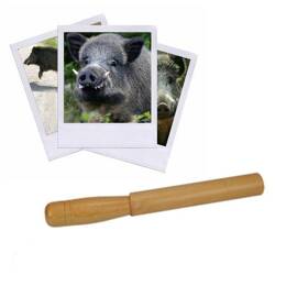 Appeau Sanglier - HB Calls