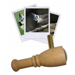 Appeau Mésange Huppée