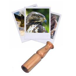 Appeau Buse variable