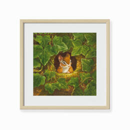 Drôles de petites bêtes - Robin l'écureuil de jardin - Antoon Krings