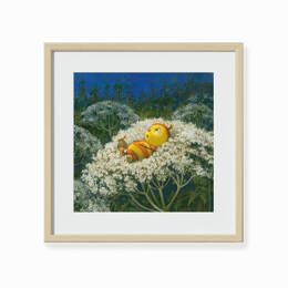 Drôles de petites bêtes - Ariel petit arc en ciel - Antoon Krings