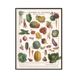 Légumes du potager