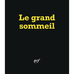 Le grand sommeil