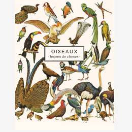 Carnet Oiseaux