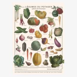 Légumes du potager