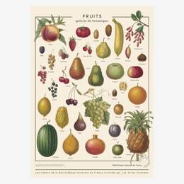 Affiche «Fruits» - 60 x 80 cm