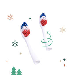 Recharges de Tête Édith Cocorico